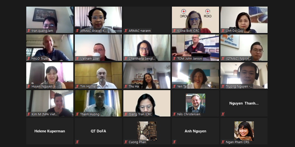 landmine working group 1