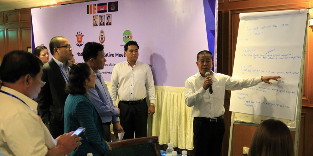 National Consultative Meetings on ASEAN Mine Risk Education Cambodia 2