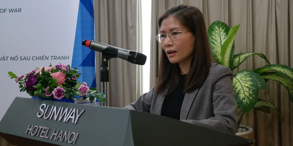 National Consultative Meetings on ASEAN Mine Risk Education Hanoi 1